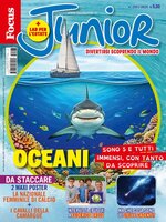 Focus Junior